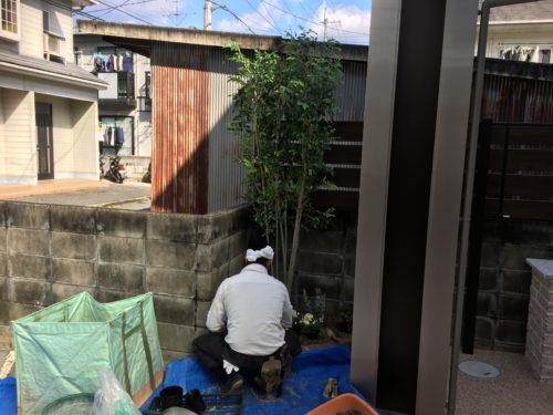 356d772f-404f-4ea1-a784-fd481883d4b1