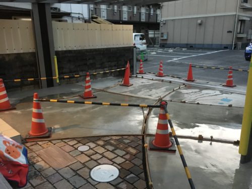 8ed83f54-2833-40db-96bb-195c755b8d54