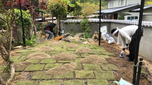 a56e08dd-ab13-419e-a606-0d9495749d84