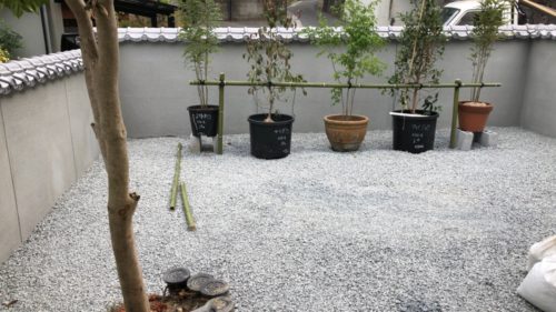 dd81f91d-3ac0-465d-9cfa-cce729a8fdc0