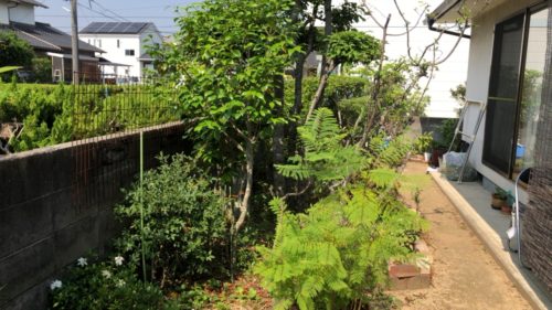 5d6babaf-8ece-4c83-bfd4-11477c43cc2b