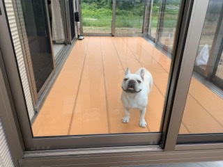 09681f10-0816-4939-8a8e-c224b8921856