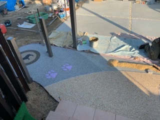 d4be9757-d487-4901-9a06-4c1b1d2e5364